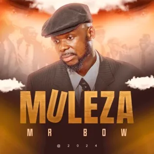 Mr. Bow - Muleza Download